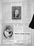 Original Old Antique Print 1909 Monkey-Eating Eagle Bird Zoo Formamint Throat