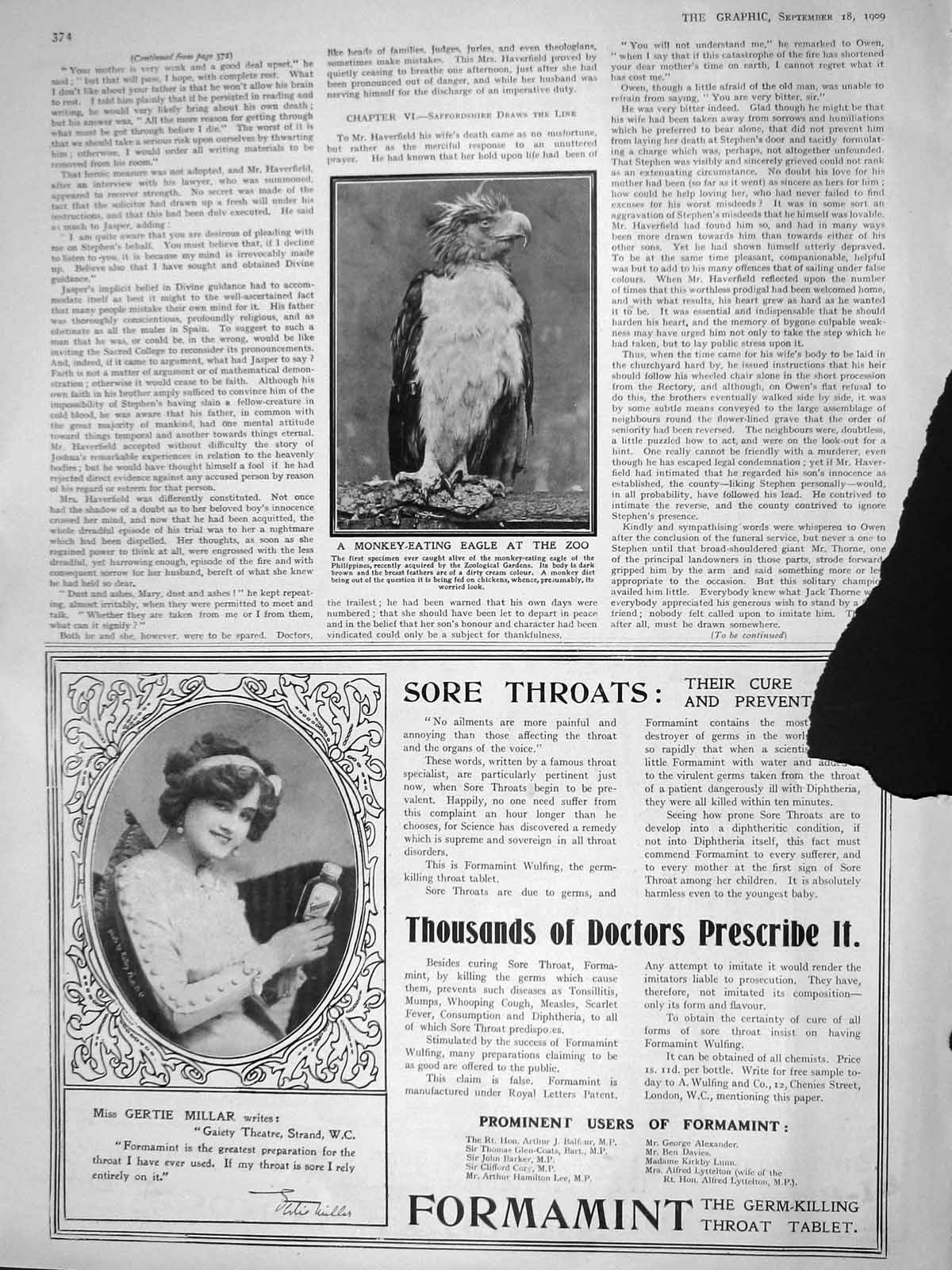 Original Old Antique Print 1909 Monkey-Eating Eagle Bird Zoo Formamint Throat