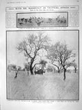 Original Old Antique Print 1909 Roosevelt Africa Rhinoceros Yrsselius Albert