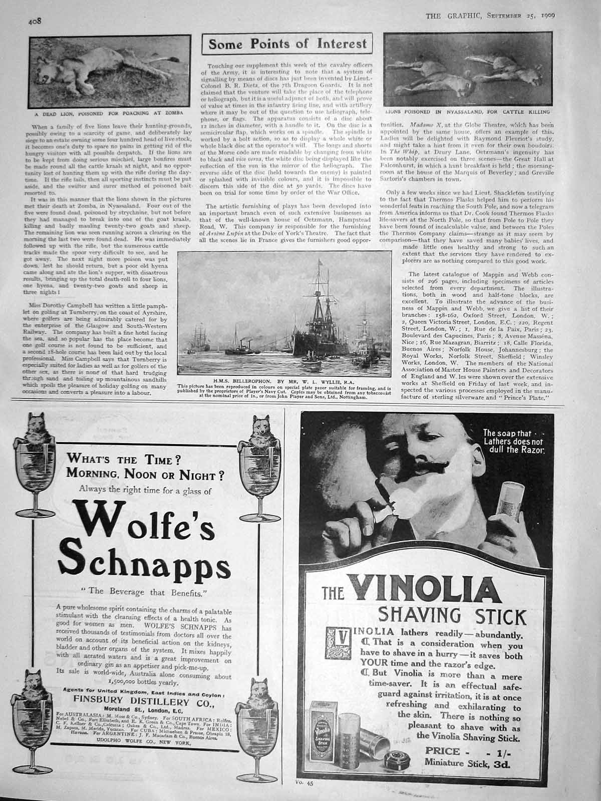 Original Old Antique Print 1909 Dead Lion Zomba Nyassaland War Ship Bellerophon