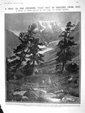 Original Old Antique Print 1909 Mont Collon Alps Mountains Waller Manning Johns