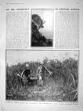 Original Old Antique Print 1909 Buffalo Roosevelt Dugmore Hunting Africa Sport
