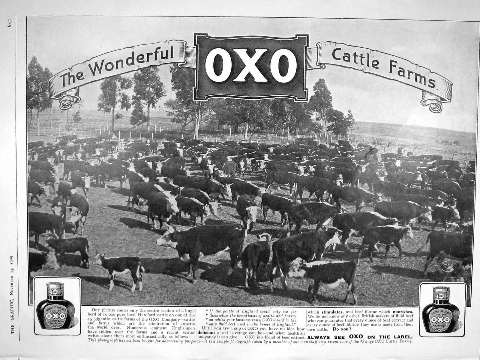 Original Old Antique Print 1909 Oxo Cattle Farms Gleeson Blayney Brough Theatre