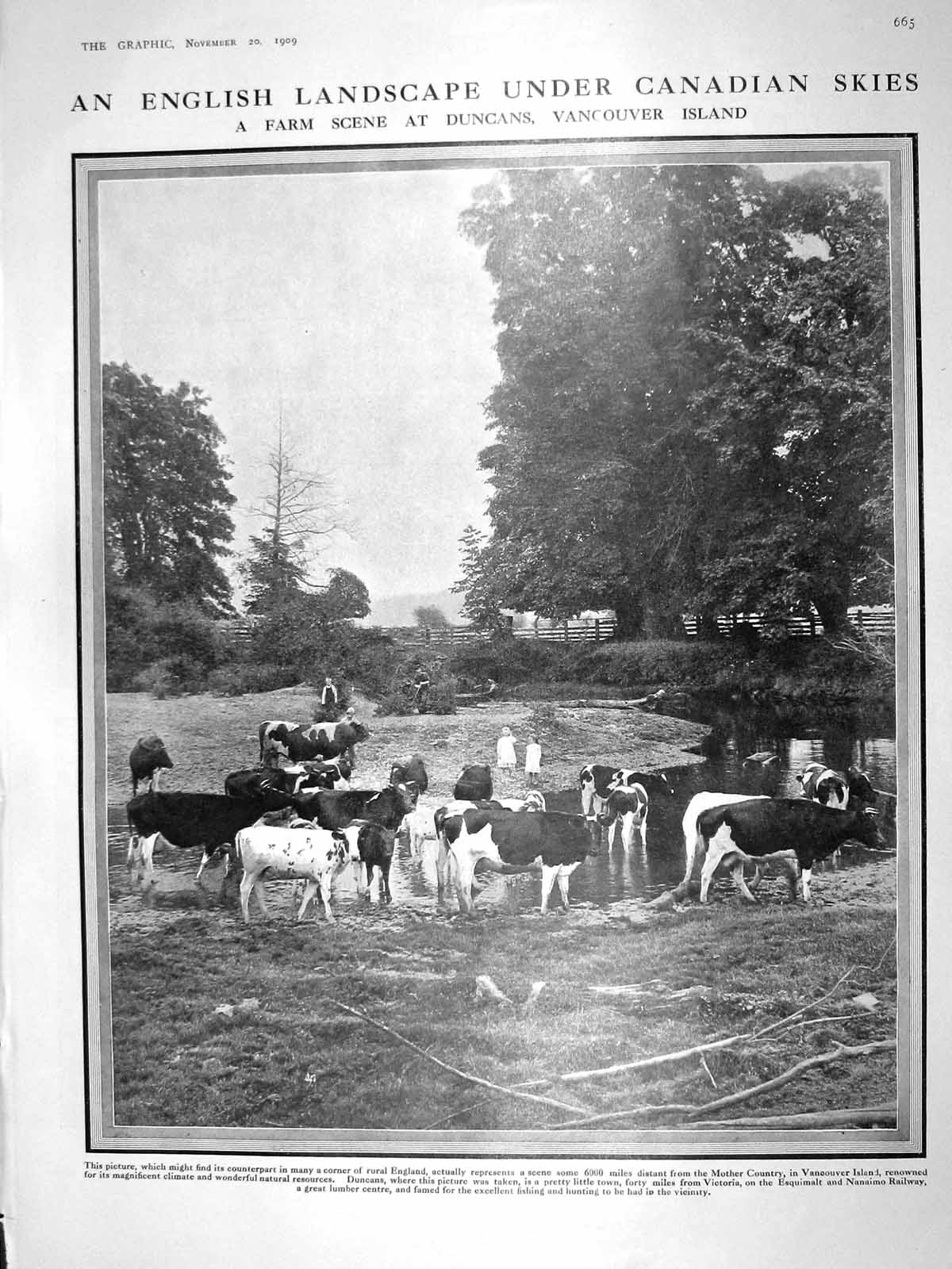 Old Antique Print 1909 Farm Scene Duncans Vancouver King Manuel Guildhall 20th