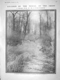 Original Old Antique Print 1909 Winter Scene Frost Ward-Thompson Turkey Cattle