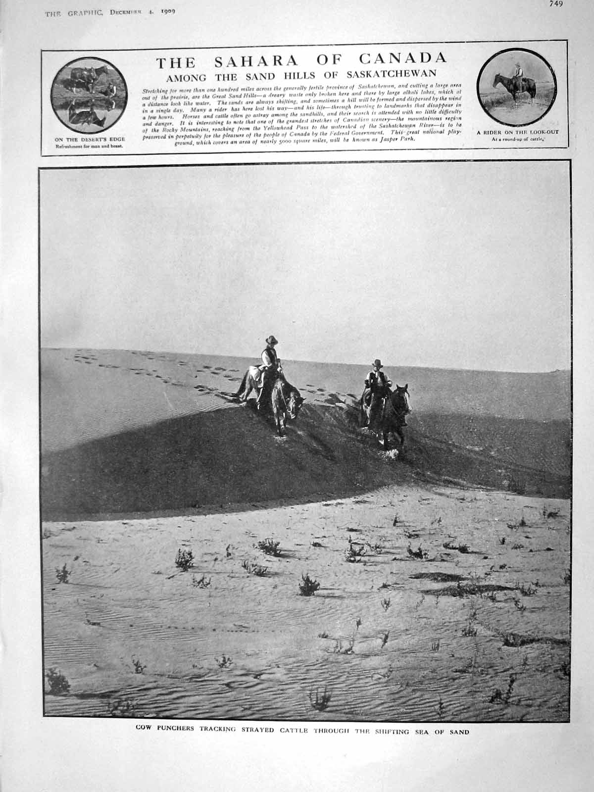 Old Antique Print 1909 Punchers Cattle Canada Saskatchewan Orkney Scapa 20th