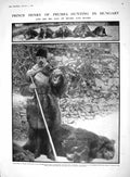 Old Antique Print 1910 Prince Henry Prussia Hunting Bears Boars Hungary 20th