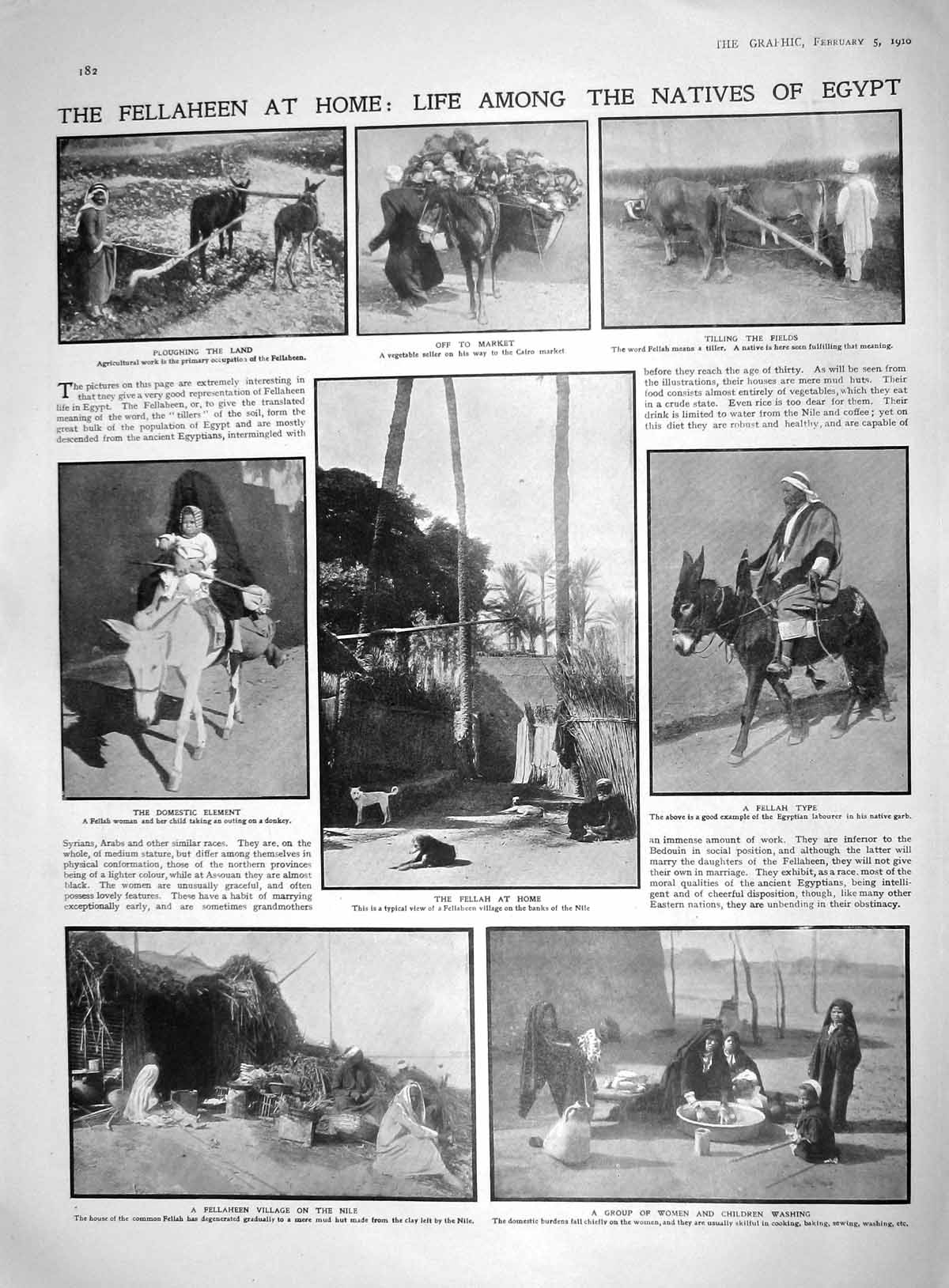 Antique Print 1910 Fellaheen Natives Egypt Ploughing Land Fellah River Nile