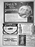 Old Advertisement Halls Distemper Maudslay Cars Jewsbury Brown Tooth