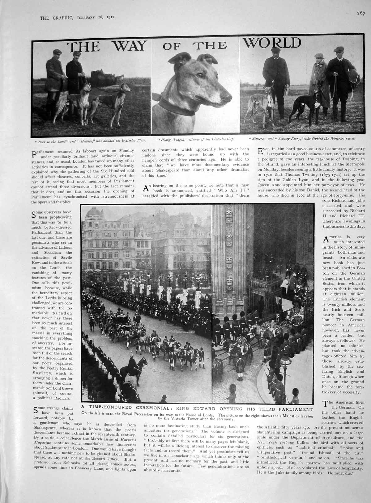 Old 1910 King Edward Parliament Waterloo Cup Edyth Walker Theatre Ead 20th