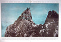 Old 1910 Climing Ancient Coral Reef Cimone Della Pala Austrian Tyrol 20th