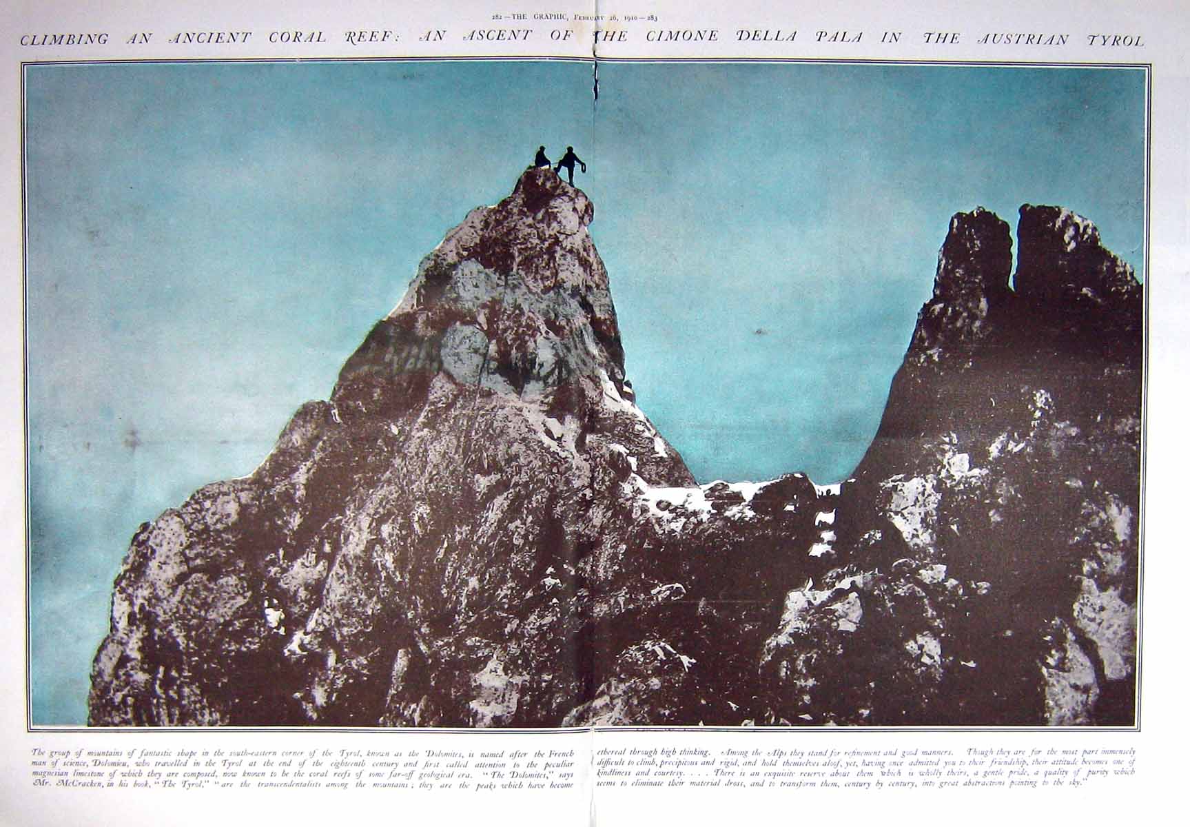 Old 1910 Climing Ancient Coral Reef Cimone Della Pala Austrian Tyrol 20th