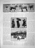 Old 1910 Horses Bulldog Adler Balfour Tennant Matterhorn O'Brien Robe 20th