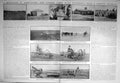 Old Damaged 1910 Farming Agriculture Stud Farm Standerton Steam Harro 20th