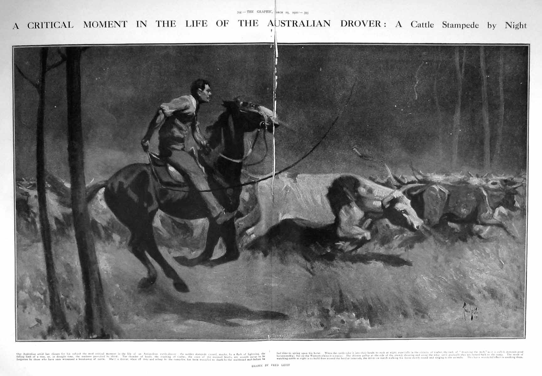Old Print 1910 Australian Drover Cattle Stampede Horse Australia Colour 20th