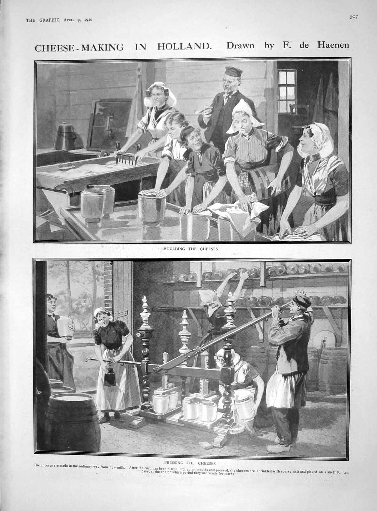 Old 1910 Cheese Making Holland Industry Aroid Flower Kew Gardens Lond 20th