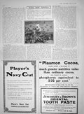 Old 1910 Springtime Venice Feeding Pigeons Players Navy Cut Cigarette 20th