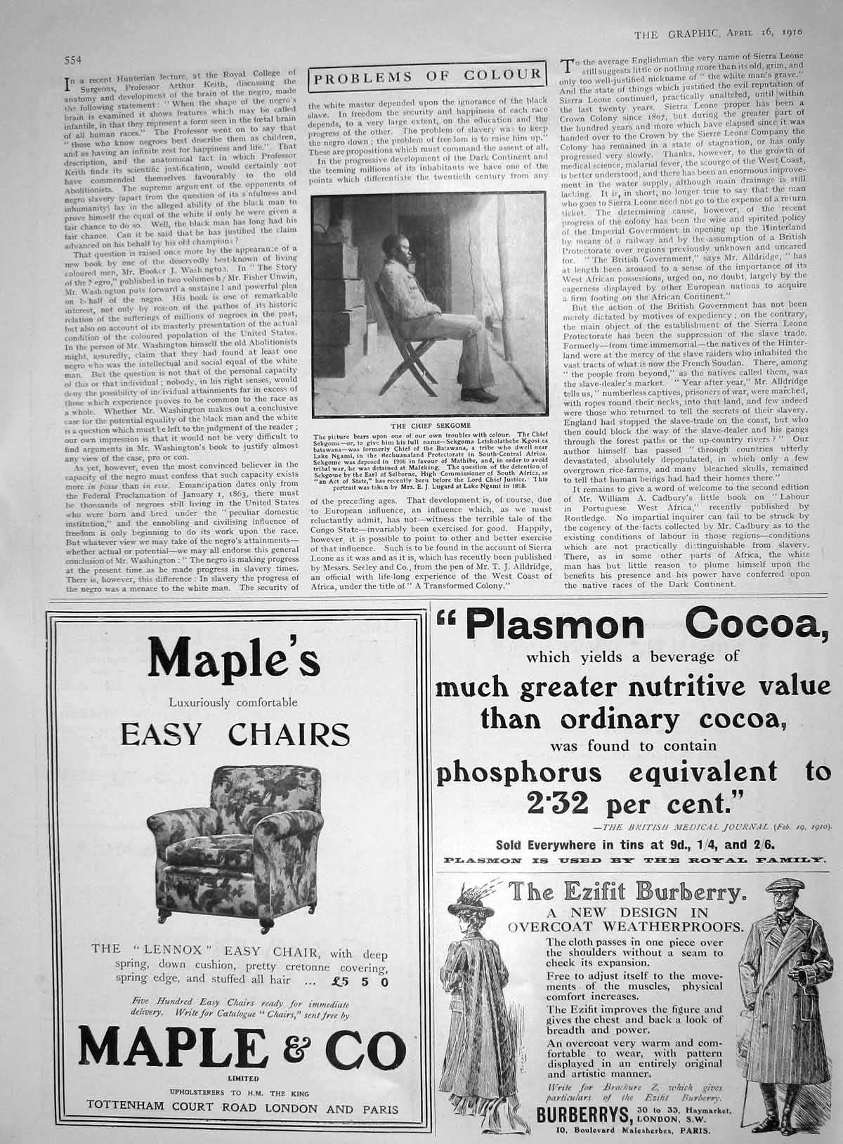 Old Print 1910 Chief Sekgome Batawana Tribe Africa Maple Chairs Burberrys 20th