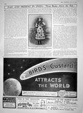 Old 1910 Prior Portrait Advertisement Birds Custard Keystone-Elgin Wa 20th