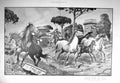 Old Antique Print 1910 Roman Campagne Horses Fleeing Enemy Georges Scott 20th
