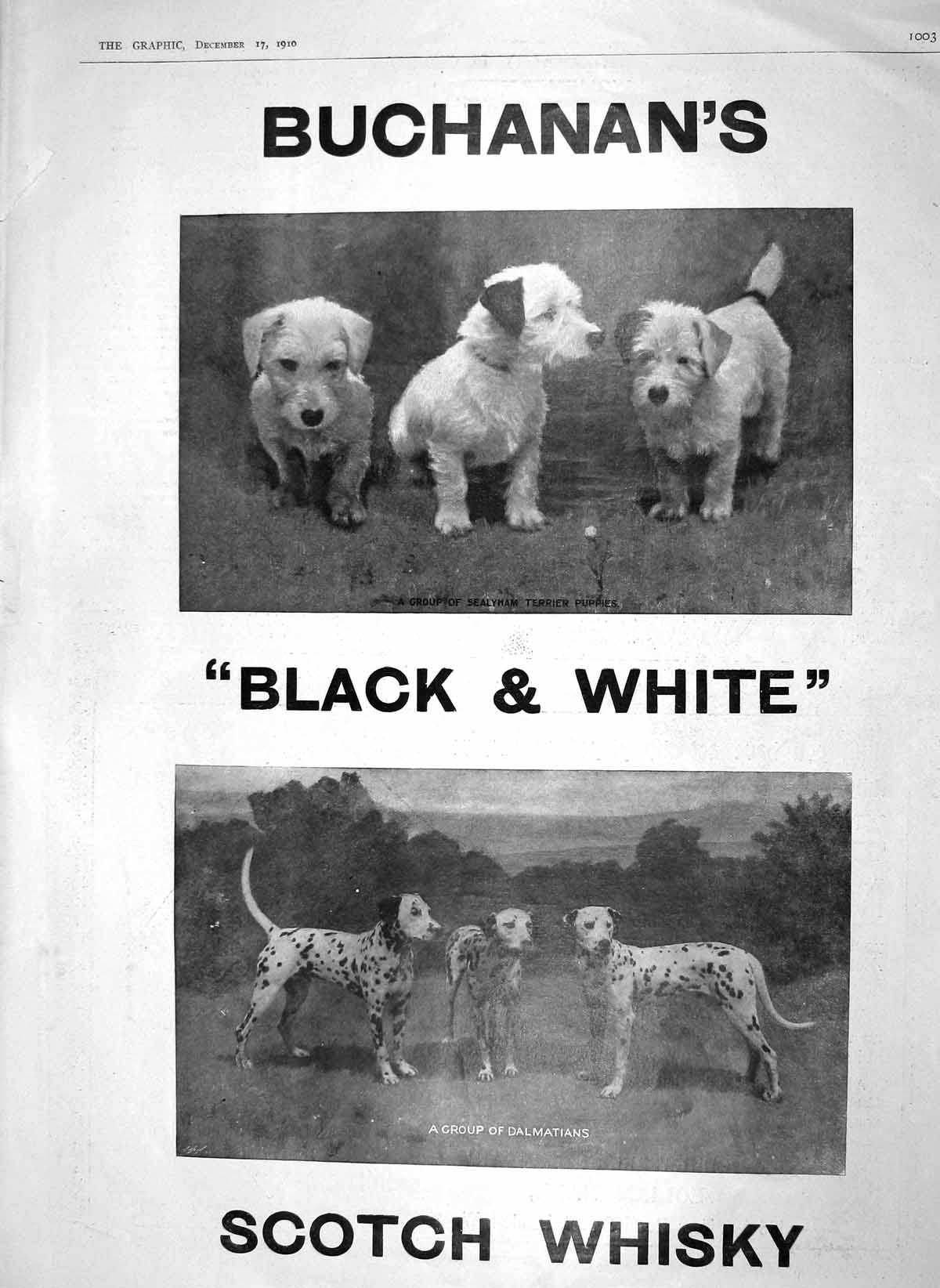 Old Print 1910 Advertisement Buchanan'S Black White Scotch Whisky Ref.3 20th