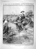 Original Old Antique Print 1910 Strawberries Gathering Fruit Brittany France