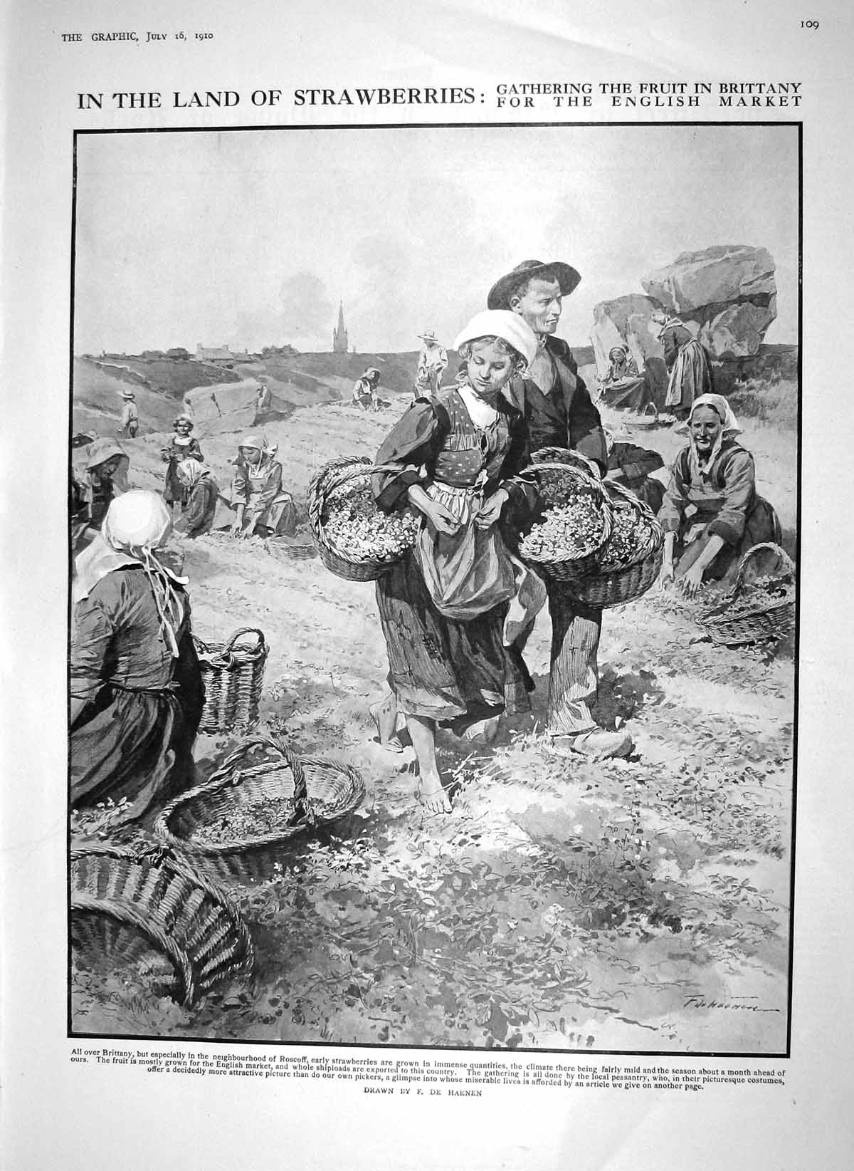 Original Old Antique Print 1910 Strawberries Gathering Fruit Brittany France