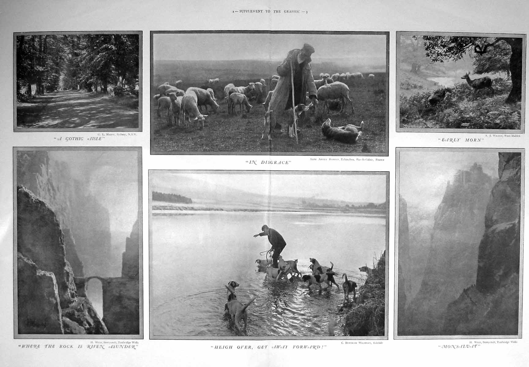 Old Antique Print 1910 Sheep Hounds Dogs Monsalvat Cliffs Gothic Photo 20th