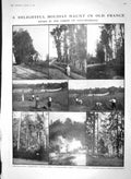 Old Antique Print 1910 Forest Fontainebleau France Monkey Jacko Antelope 20th