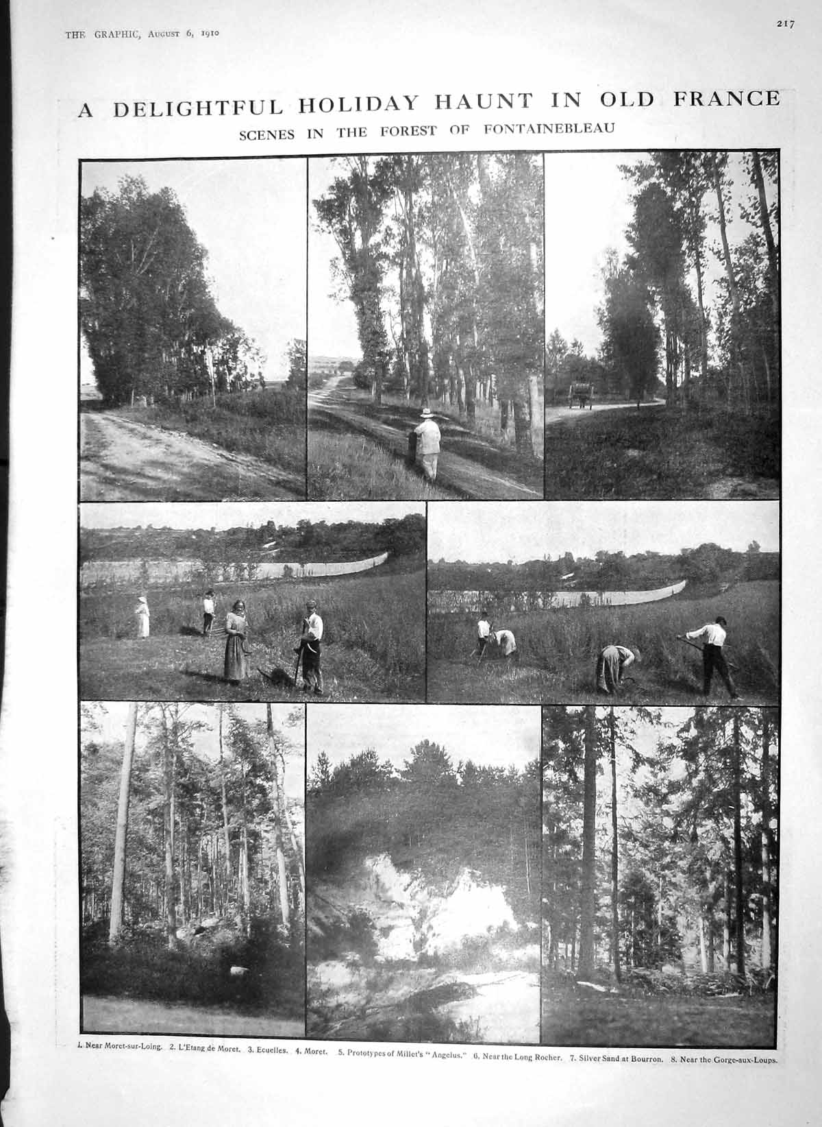 Old Antique Print 1910 Forest Fontainebleau France Monkey Jacko Antelope 20th
