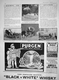 Original Old Antique Print 1910 Baden-Baden Flowers Prince William Water-Waggon