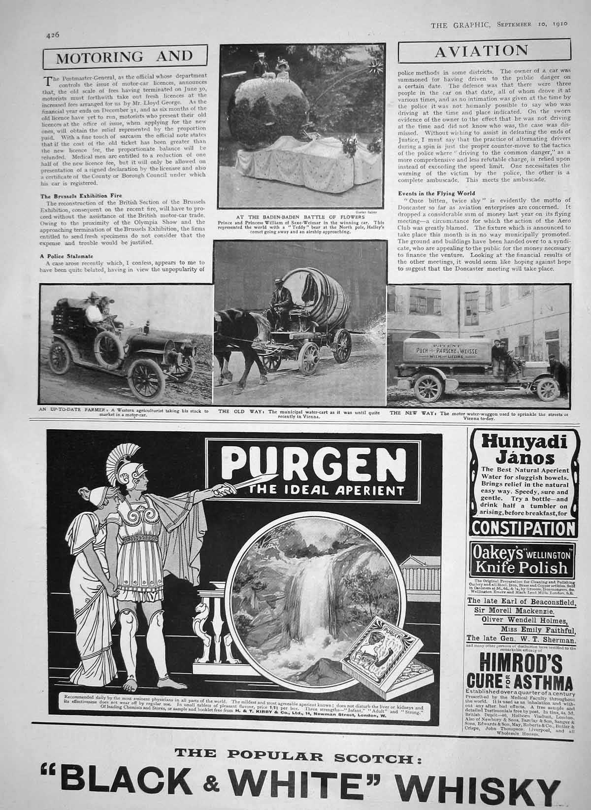 Original Old Antique Print 1910 Baden-Baden Flowers Prince William Water-Waggon