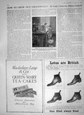 Old Antique Print 1910 Laboratory Women Speyer Institute Frankfort Lotus 20th