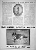 Old Antique Print 1910 Silhouette Officer British Noorden Scotch Whisky 20th