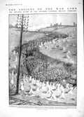 Original Old Antique Print 1914 Advance Guard Belgian Siers Alsace Leman Emmich