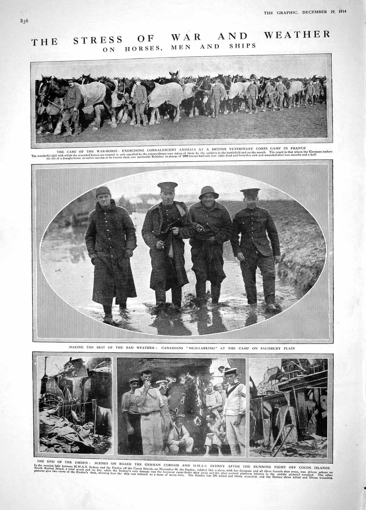 Old Antique Print 1914 War Horse France Ships Corsair Sydney Badges Epsom 20th
