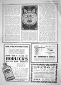 Original Old Antique Print 1914 Prince Wales Relief Fund Playing Cards Horlicks