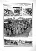 Original Old Antique Print 1915 Dragoon Scarborough War Indian Army Camels Enos