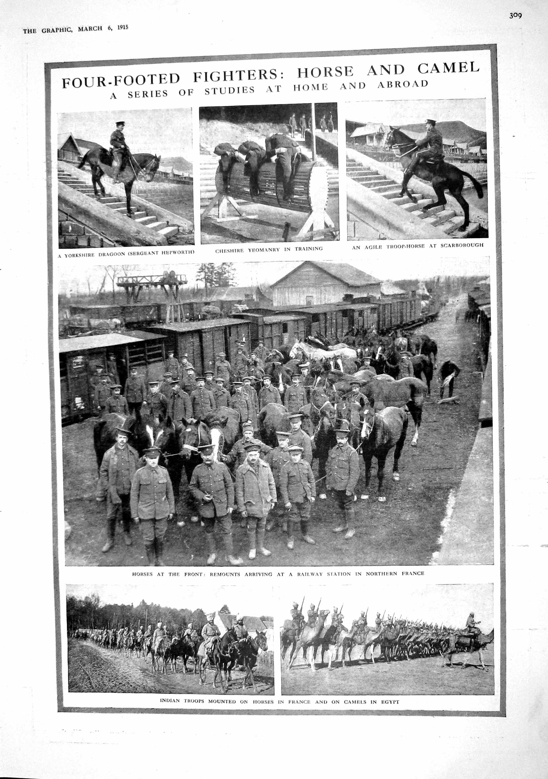 Original Old Antique Print 1915 Dragoon Scarborough War Indian Army Camels Enos