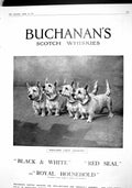 Old Antique Print 1915 Buchanans Scotch Whisky Lion Africa War Memorial 20th