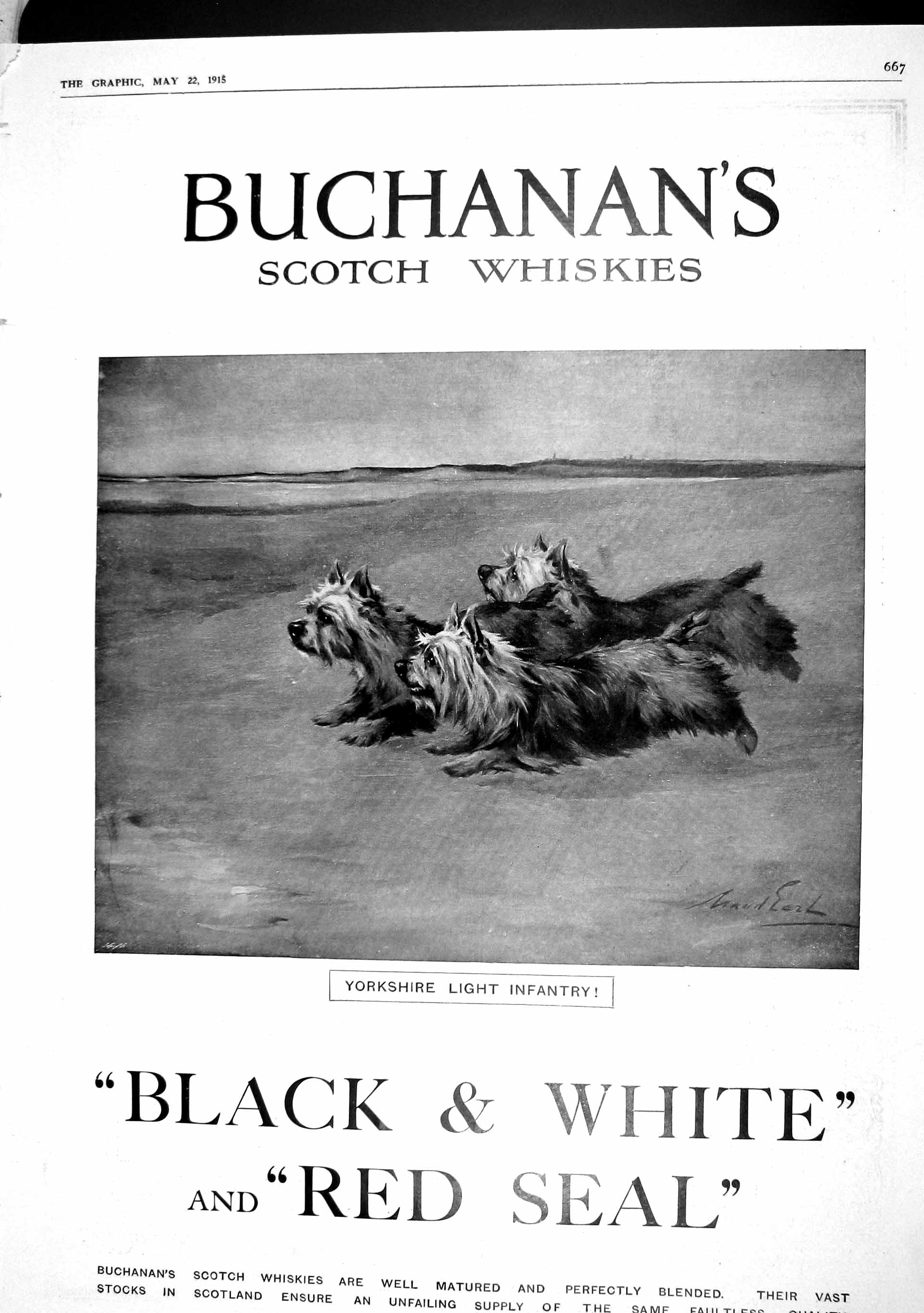 Original Old Antique Print 1915 Advertisement Buchanans Scotch Whisky Dogs 20th