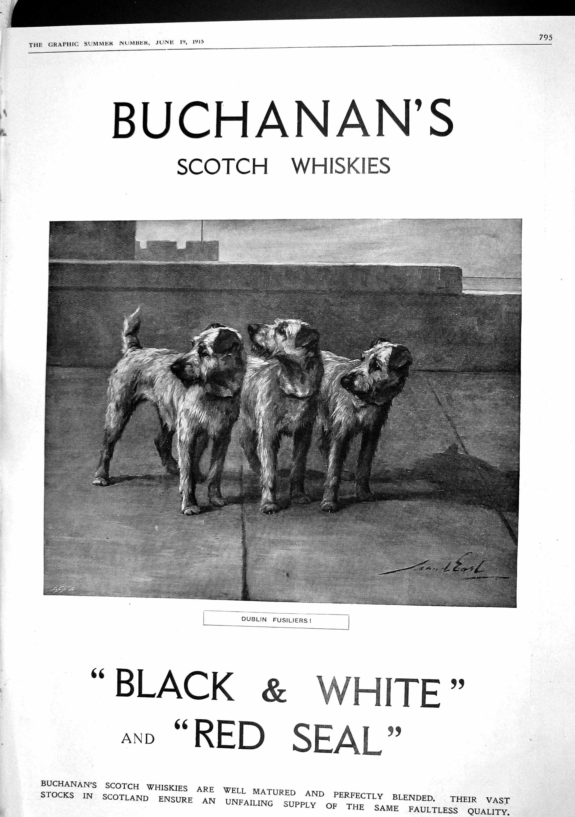 Old Antique Print 1915 Buchanans Scotch Whisky Indian War Officer Perrins 20th