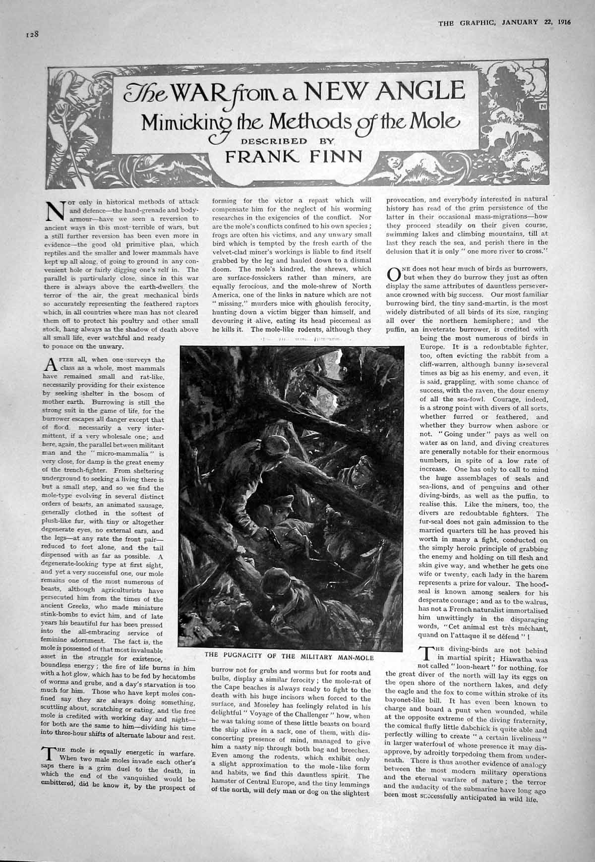 Original Old Antique Print 1916 War Siers Pugnacity Military Man-Mole Weapons