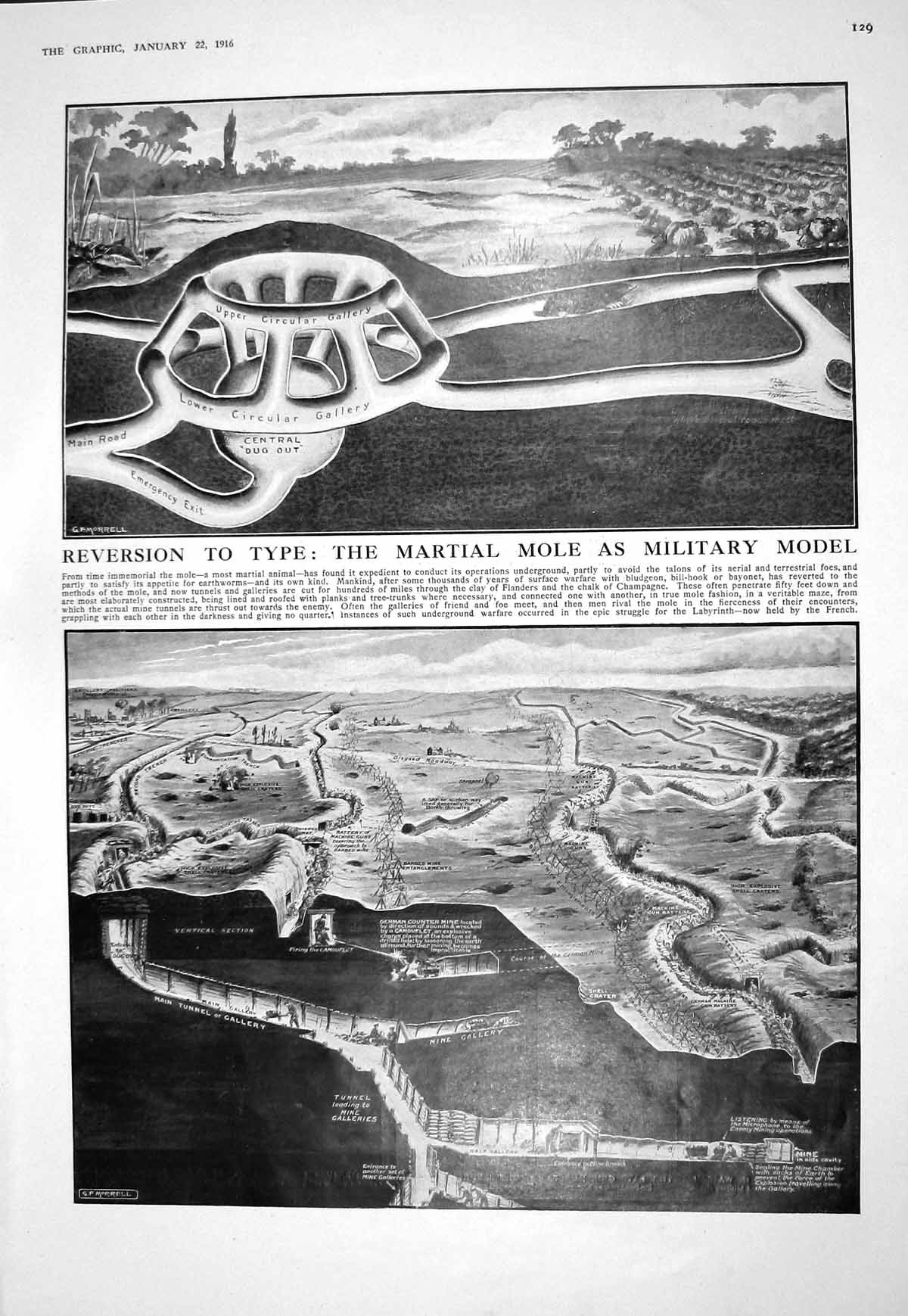 Old 1916 Martial Mole Military Model Trenches War Wright Kemball Hent 20th