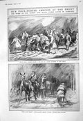 Old 1916 War Horses Big Gun Mules Motor Despatch Rider British Ambula 20th