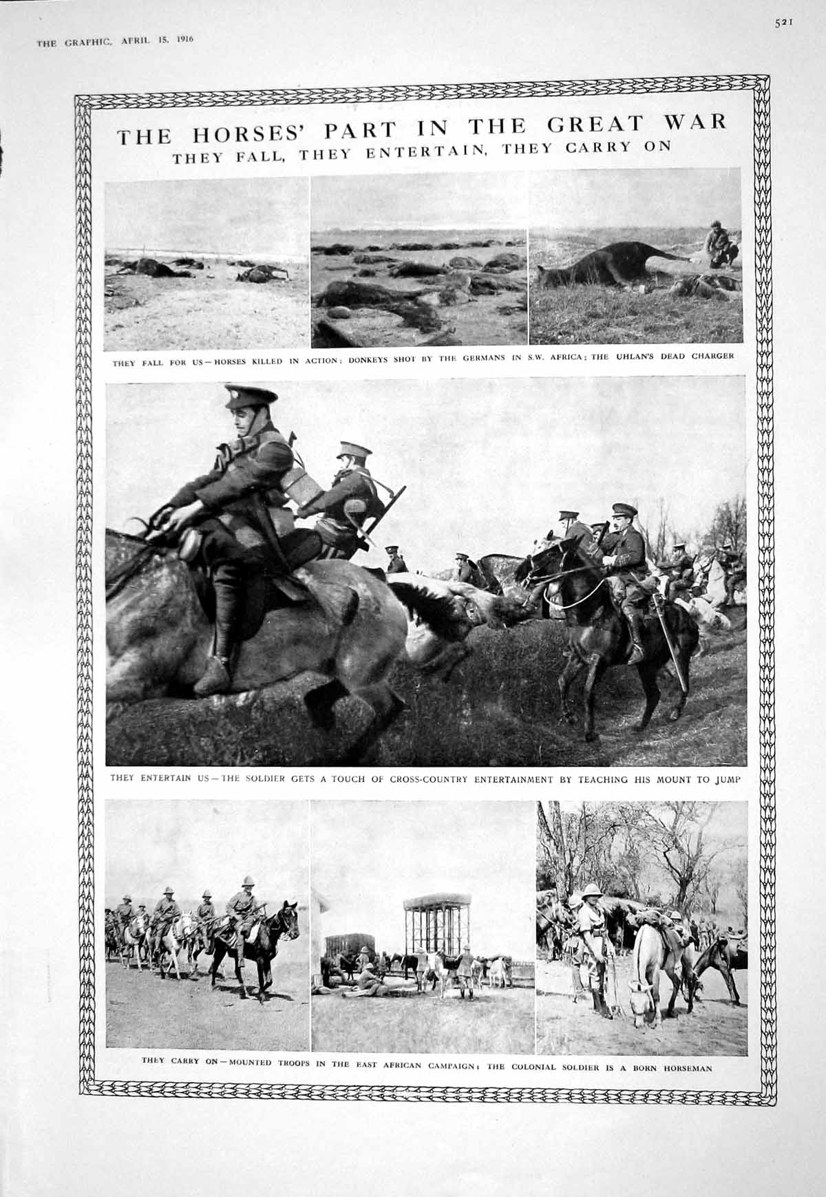 Old Print 1916 War Horses Siers Africa Uhlan Theatre Trevelyan Cinderell 20th