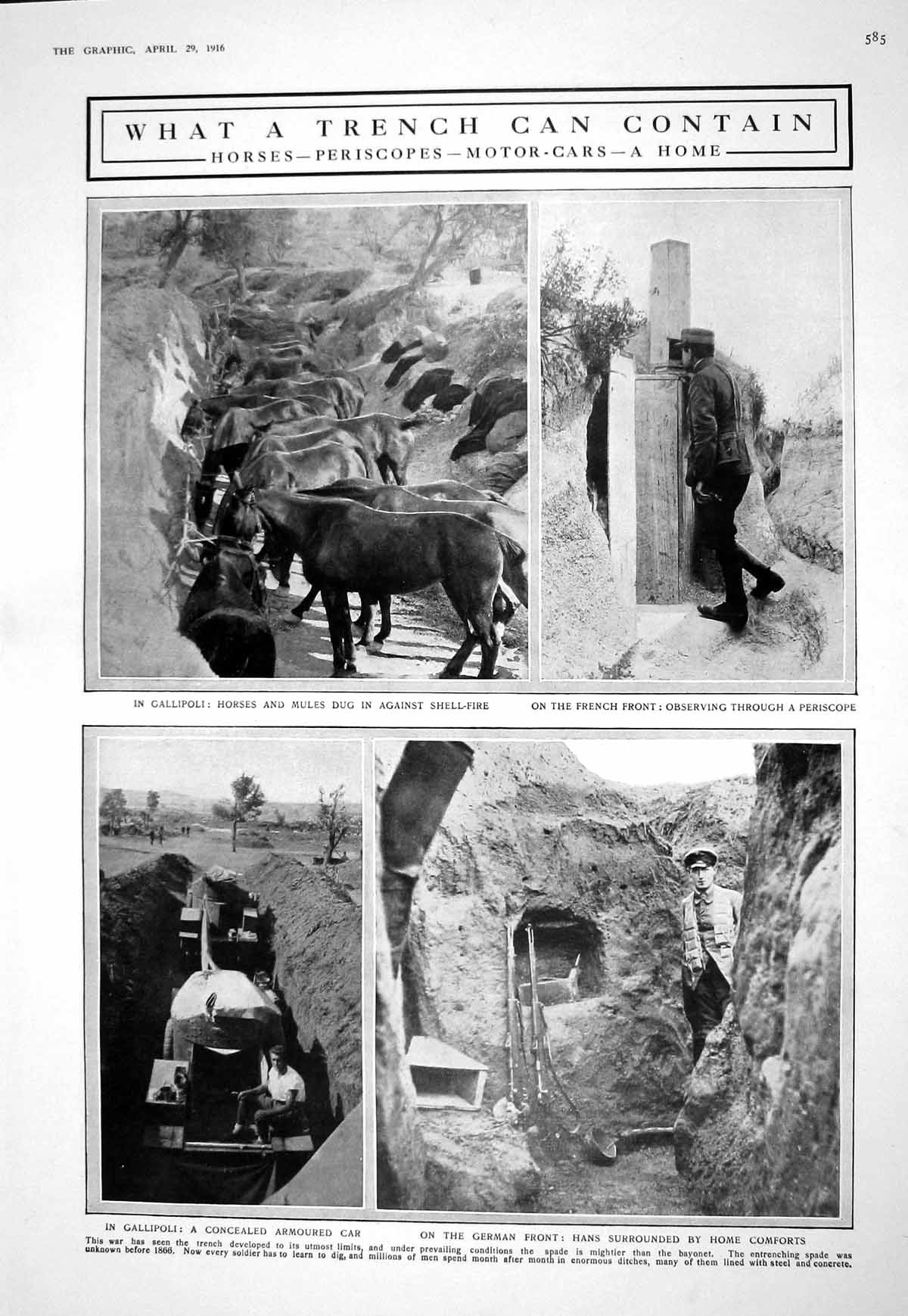 Old 1916 War Trench Horses Gallipoli Mules Armoured Car German French 20th