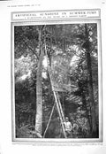 Old 1916 War Searchlight France Forest Artificial Sunshine Poilu Cham 20th