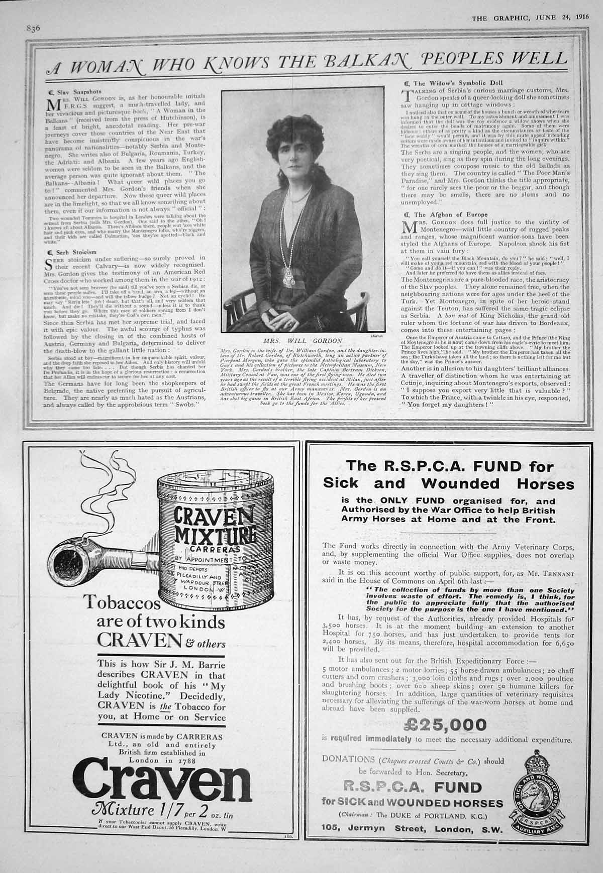 Old 1916 Mrs Will Gordon Advertisement Craven R.S.P.C.A. Sick Horses 20th