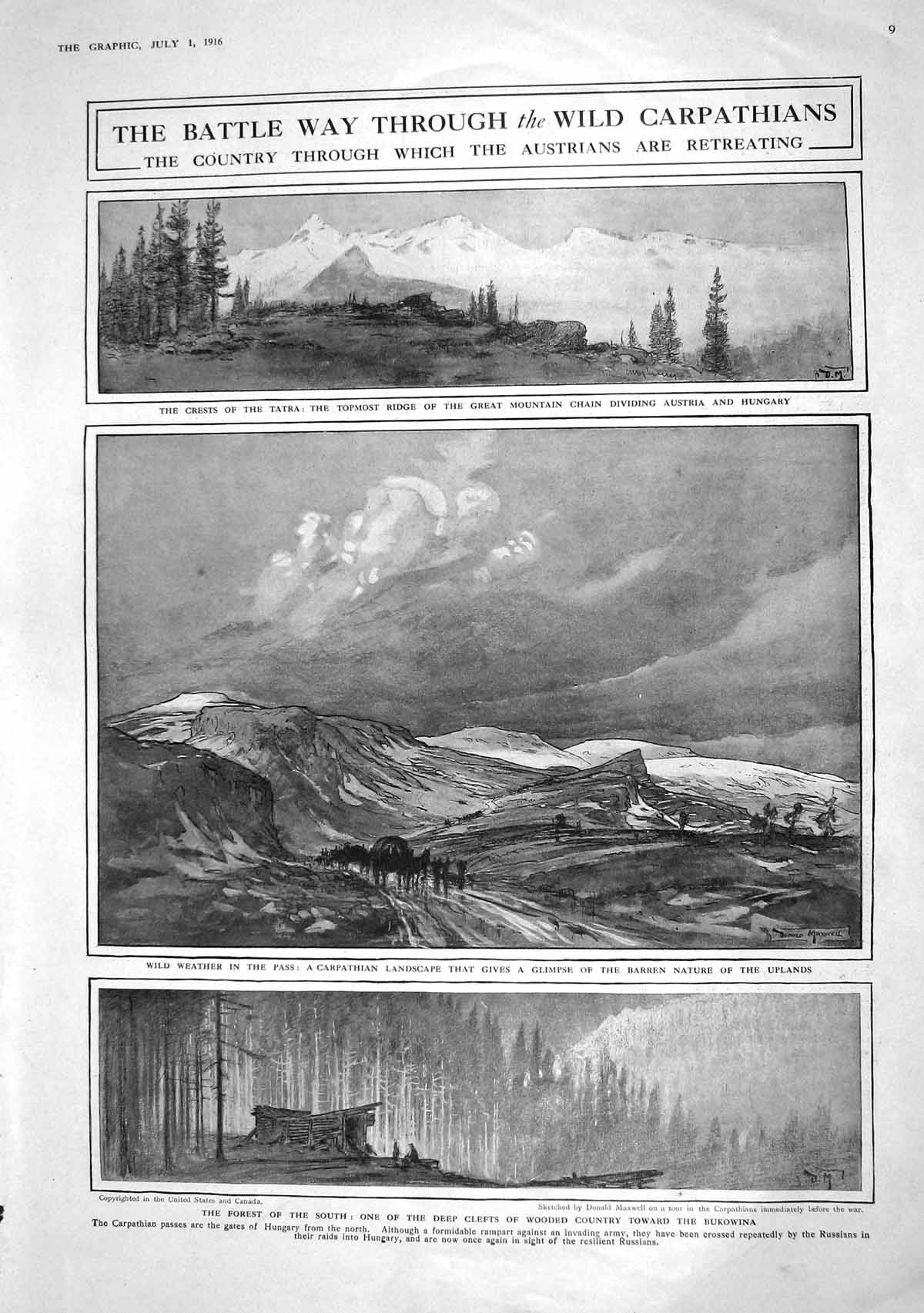 Old 1916 Mountains Carpathians Forest War Belgian Sniper Flanders Sol 20th